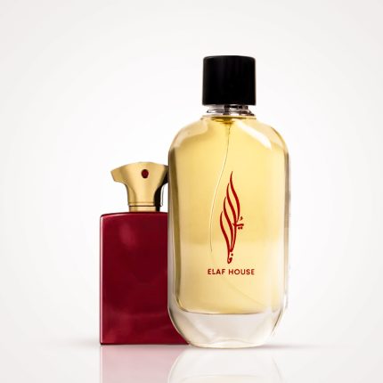 ELAF Traveller - Inspired by Journey Man