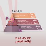 ELAF Night - Inspired by Scandal By Night - Image 2