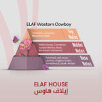 ELAF Western Cowboy - Inspired by Marbert Man - Image 2
