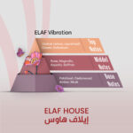 ELAF Vibration - Image 2
